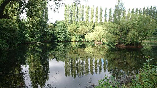 Brandon Marsh Nature Reserve